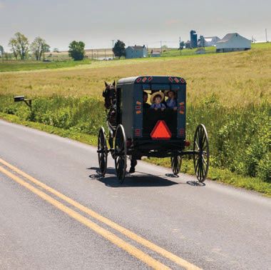 Take a horseand-buggy ride with an Amish resident. COURTESY OF DISCOVERLANCASTER.COM