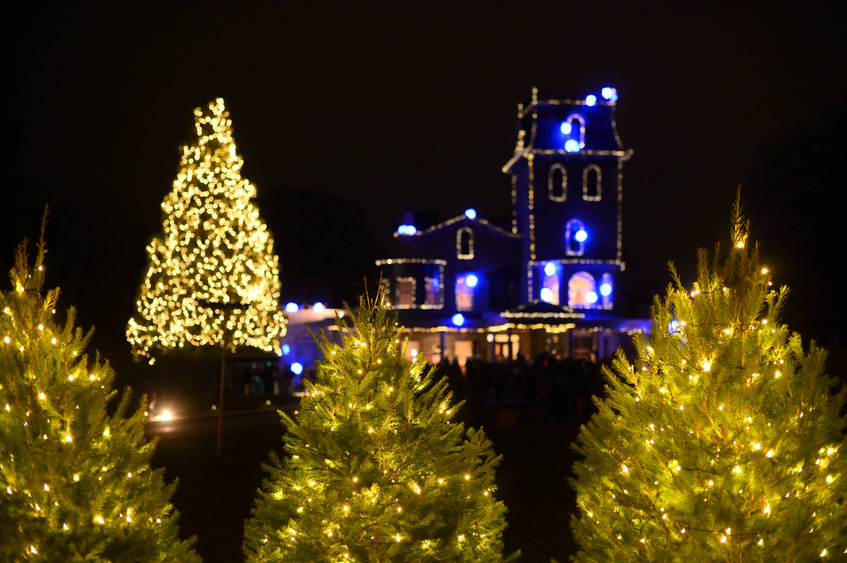 Philadelphia Christmas Lights
